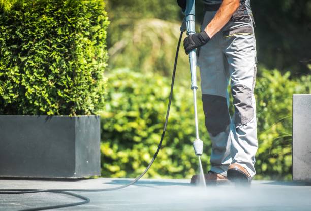 Best Fence Cleaning  in Gregory, TX