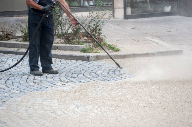 Best Dumpster Area Cleaning  in Gregory, TX